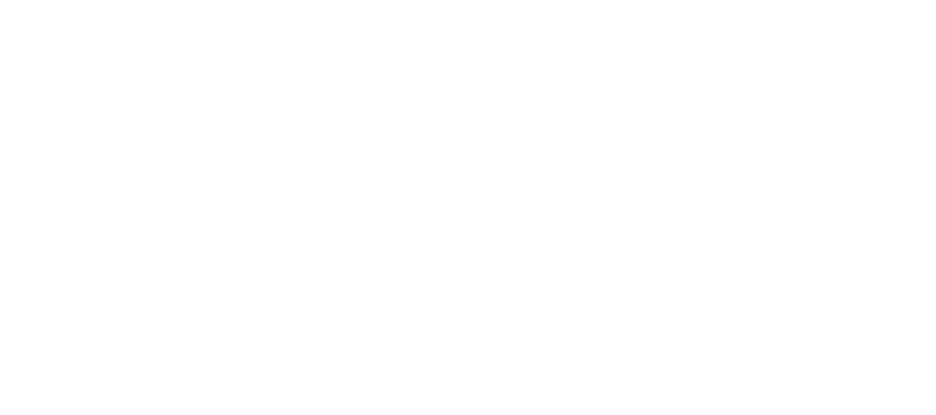 tigerlily logo